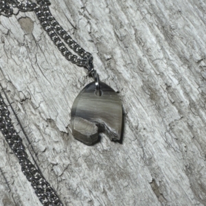 Sheep Horn Pendant