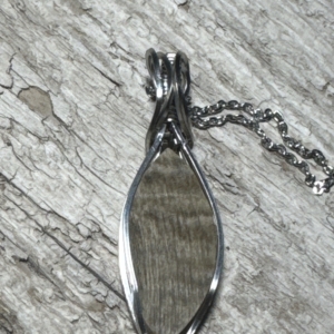 Sheep Horn Pendant in Stainless Steel
