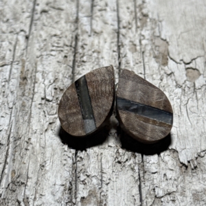 Sheep Horn inlay in Maple Burl Earrings