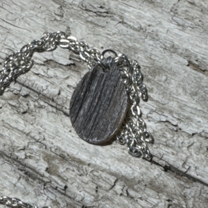 Sheep Horn Pendant