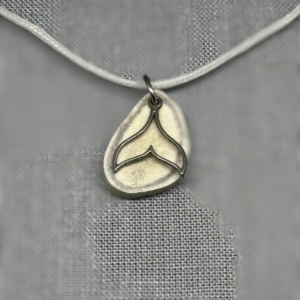 Mule Deer Antler with  Accents